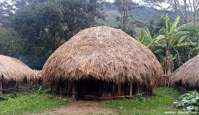 Rumah Honai